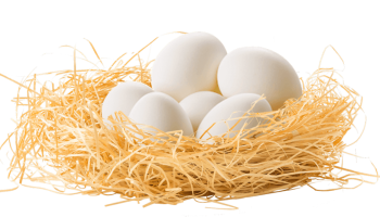 slide-egg-hero-1024x533